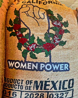 MEXIQUE WOMENPOWER